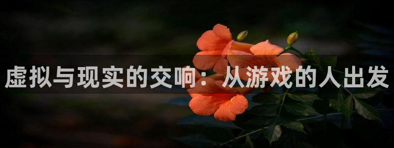 杏宇平台代理注册：虚拟与现实的交响：从游戏的人出发