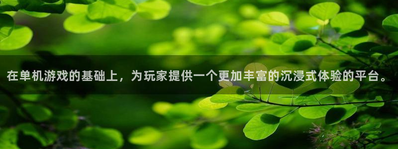 杏宇平台注册地址在哪里看：在单机游戏的基础上，为玩家提供一个