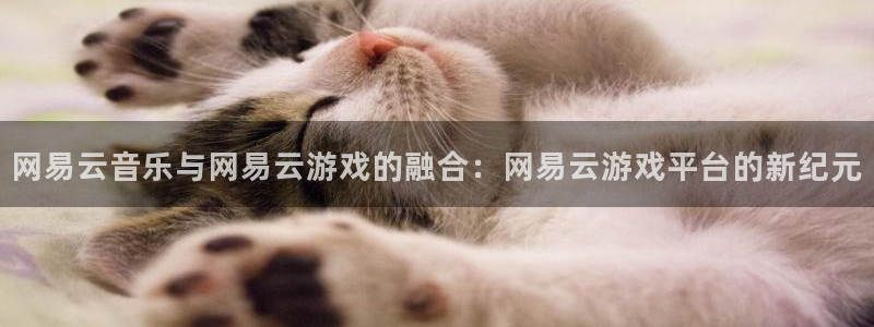 杏宇代理：网易云音乐与网易云游戏的融合：网易云游戏平台的新纪