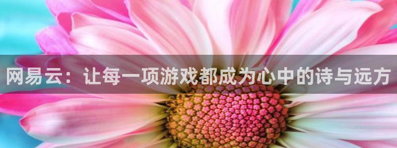 杏宇娱乐登录官网下载安装：网易云：让每一项游戏都成为心中的诗