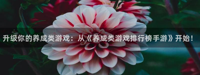 杏宇娱乐登录官网网址是什么：升级你的养成类游戏：从《养成类游