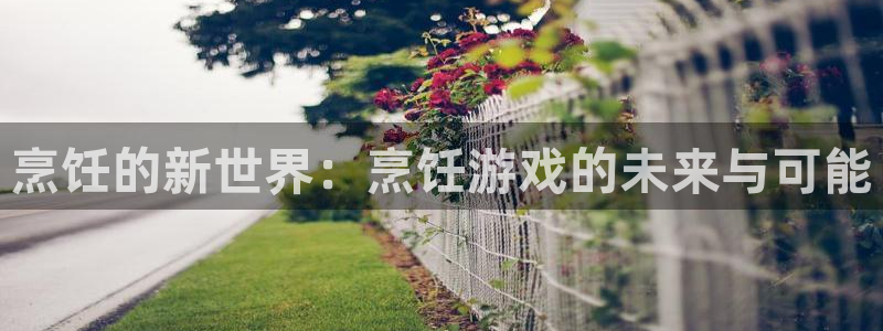 杏宇平台注册地址在哪里看到：烹饪的新世界：烹饪游戏的未来与可