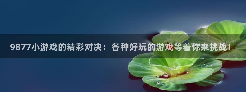 杏宇娱乐登录官网网址入口：9877小游戏的精彩对决：各种好玩