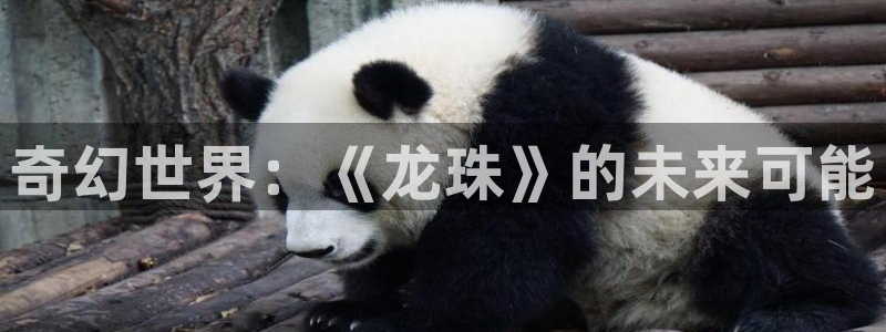 杏宇娱乐平台最新版下载安装手机：奇幻世界：《龙珠》的未来可能