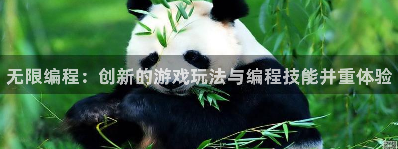 杏宇注册：无限编程：创新的游戏玩法与编程技能并重体验